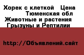 Хорек с клеткой › Цена ­ 3 000 - Тюменская обл. Животные и растения » Грызуны и Рептилии   